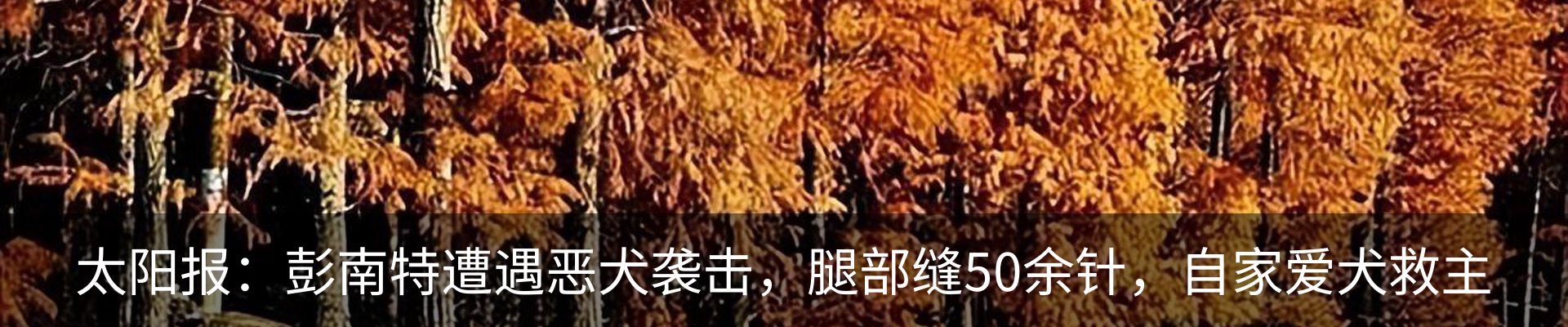 新闻中心