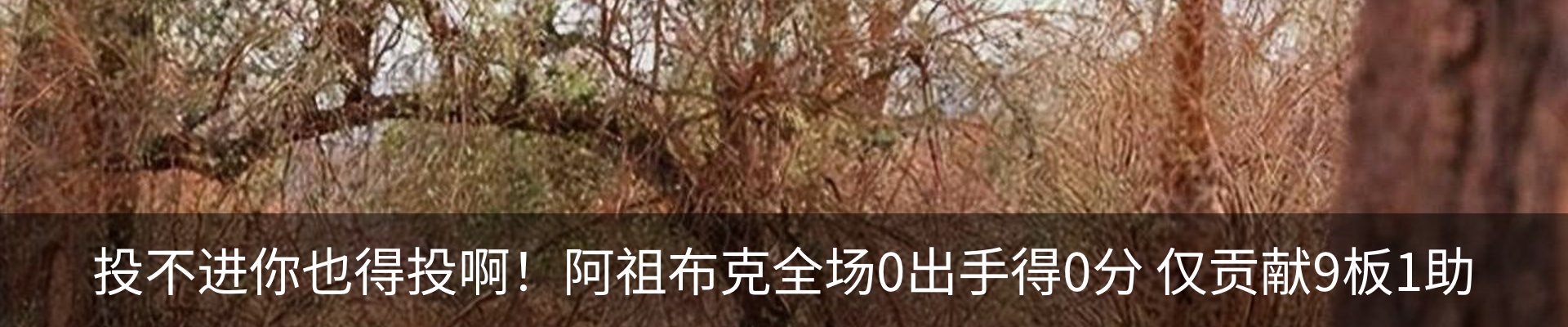 新闻中心