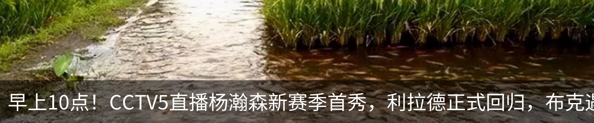 新闻中心