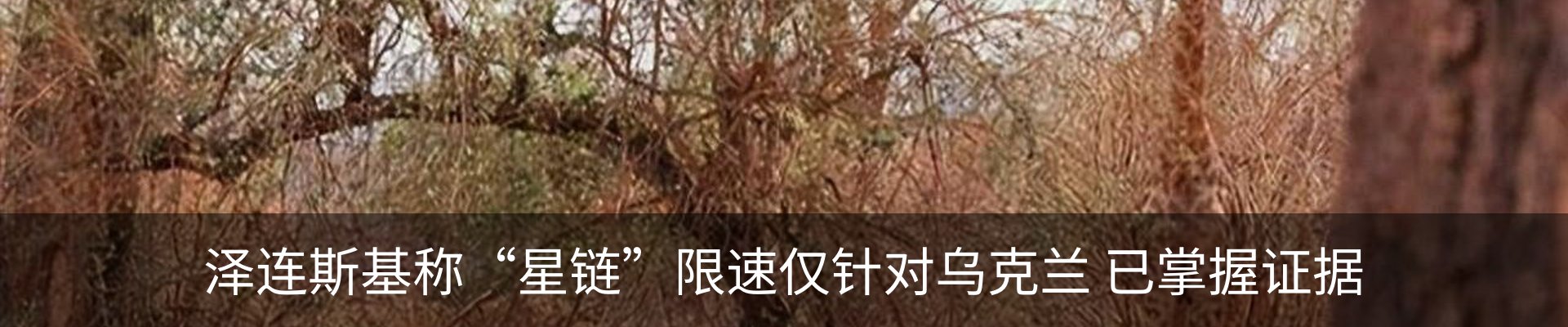 新闻中心