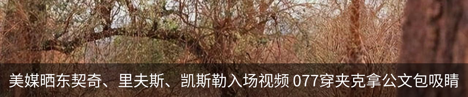 新闻中心