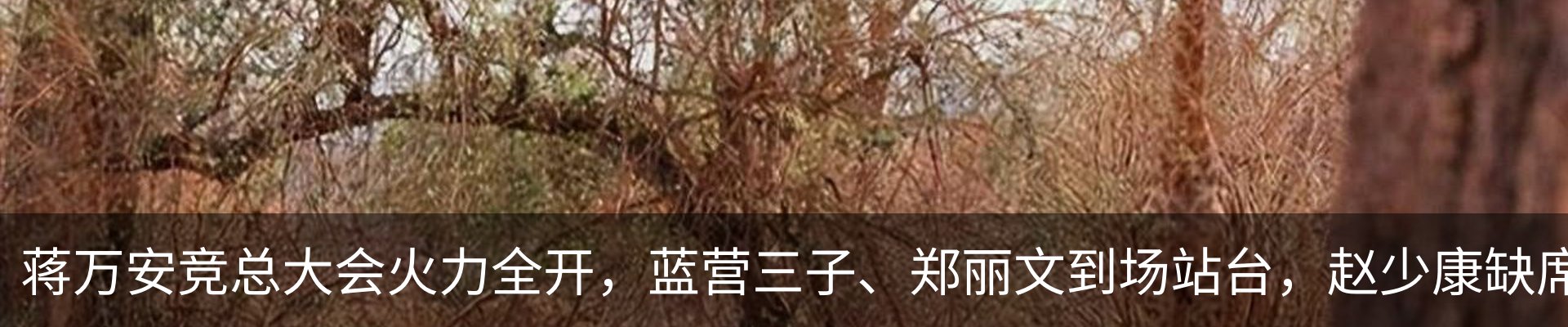 新闻中心
