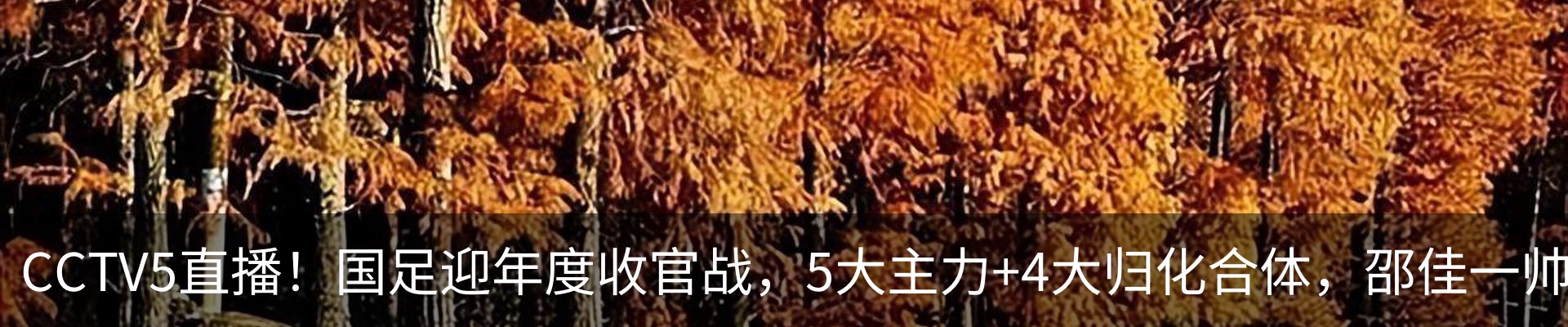 新闻中心