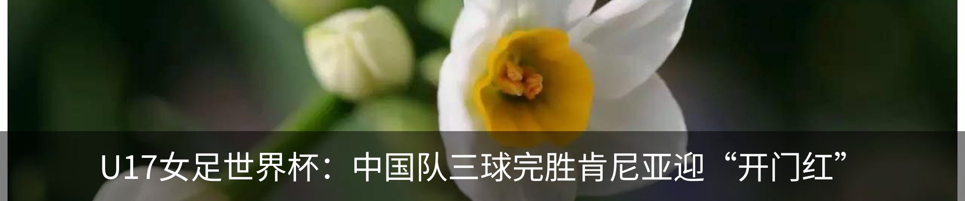 新闻中心